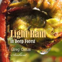 Light_Rain_In_Deep_Forest